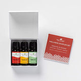 Plant Therapy Wellness Sampler Set - Immune Aid, Germ Fighter & Respir Aid - Pure Essential Oils for Seasonal Threats