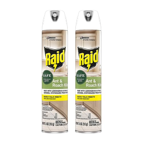 Raid Ant and Roach Killer Aerosol Spray with Essential Oils 11 Ounce (Pack of 2)