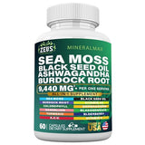 Sea Moss Capsules with Black Seed Oil, Burdock Root, Bladderwrack, Turmeric, Ashwagandha, Immune Support Supplement - Alt Sea Moss Gummies Gel (60 Count)