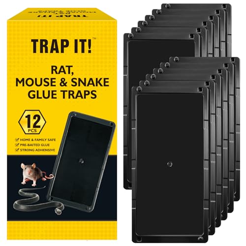 TRAP IT! Mouse Traps Indoor for Home, 12 Pack Pre-Baited Sticky Glue Traps for Mice & Rats, Larger Heavy Duty Adhesive Plastic Trays Pet Family Safe for Rodents, Snakes, Spiders, Lizards Pest Control