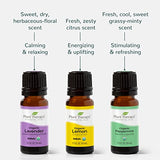 Plant Therapy Top 3 Organic Essential Oil Singles Set 10 mL (1/3 oz) Lemon, Lavender & Peppermint 100% Pure Essential Oils, Undiluted, Natural Aromatherapy for Diffusion and Body Care