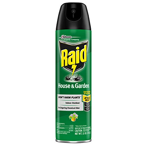 Raid House & Garden I, Indoor & Outdoor Insecticide Spray, 11 oz. (Pack of 1)