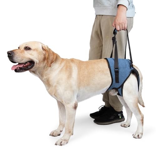 Dotoner Dog Sling for Large Dogs Hind Leg Support to Help Rehabilitate The Hind Limbs of Elderly Dogs with Weak Hind Legs Disabilities and Injuries Dog Harness Helps Arthritis ACL Recovery（L,Blue）