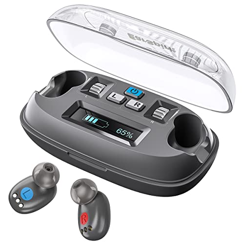 EarSpirit Hearing Aids for Seniors Adults with Noise Cancelling, Hearing Amplifiers 8-Channel Digital with LCD 100 Hrs of Use with Charging Case for Mild to Moderate Hearing Loss