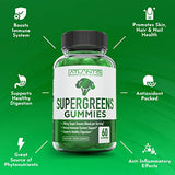 Supergreens Gummies 2-Pack Daily Green Superfoods Supplement w/Spinach, Broccoli, Moringa, Beet Root, Celery, Green Tea, & Acai for Immunity Support, Natural Raspberry Flavor, 120 Supergreen Gummies