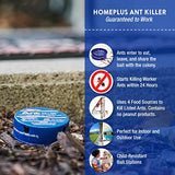 Homeplus™ Ant Killer AB, Metal Ant Bait, Ants Killer for House, Ant Traps Indoor & Outdoor, 12 Pack