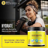 KEY NUTRIENTS Electrolytes Powder No Sugar - Refreshing Lemonade Electrolyte Drink Mix - No Calories, Gluten Free - Hydration Powder and Packets (20, 40 or 90 Servings)