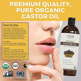 Organic Castor Oil for Eyelashes and Eyebrows - 16 fl oz, USDA Organic, Pure Hexane-Free Moisturizer Traditionally Used for Hair Growth, Natural Skin and Eyelash Serum, Cold Pressed with Beauty Kit