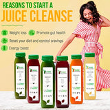 5 Day Juice Cleanse by Raw Fountain, All Natural Raw Juice Detox Cleanse, Weight Management Program, Cold Pressed Fruit and Vegetable Juice, Tasty and Energizing, 30 Bottles 12oz, 5 Ginger Shots