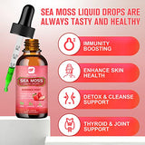 B BEWORTHS Sea Moss Liquid Drops - Organic Irish Sea Moss Gel with Burdock Root Supplement, Seamoss Gel for Immune Support, Joint & Thyroid Support, Detox Cleanse & Digestion Support