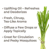 Plant Therapy Organic Lemongrass Essential Oil 100% Pure, USDA Certified Organic, Undiluted, Natural Aromatherapy, Therapeutic Grade 30 mL (1 oz)