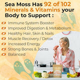 MEGAPLANTS Organic Sea Moss | Makes 228 Servings of Seamoss Gel | Pre-Washed | Wildcrafted | Immune Booster | Strengthen Hair, Skin, Nails & Joints