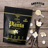 Ambrosia Planta - Premium Organic Plant-Based Protein | Vegan & Keto Friendly | Gourmet Flavors with No Bloating or Stomach Upset | Gluten & Soy Free | No Added Sugar | 14 Servings | (Vanilla)