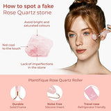 Rose Quartz Face Roller and Rose Quartz Gua Sha Set - Certified Rose Quartz Roller and Gua Sha Set - Face Rollers for Women for Your Skincare Routine by Plantifique