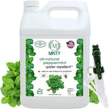 Minty Spider Repellent, Natural 5% Peppermint Oil Spray, Kills & Deters All Types of Spiders and Insects, Indoor and Outdoor Use, 128 fl oz Gallon