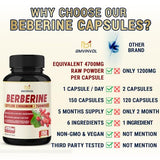 Berberine Supplement Equivalent to 4700mg - 5 Months Supply - With Ceylon Cinnamon, Berberine HCl Supplement Pills