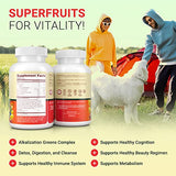 Superfruits Gummies Supplement for Bloating & Gut Health, 9 Superfruits Supplement for Adults & Kids, Collagen Booster - Immunity & Antioxidant Support, Non-GMO, Pectin-Based, Gluten-Free, No Capsules