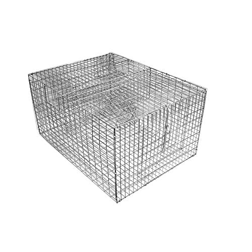 Bird B Gone - Bi-Level Sparrow Trap - Spacious Two-Chamber 8"x12"x16" Cage - Efficient Multiple Capture Design - Durable & Lightweight (4 lbs) - Humane Bird Control