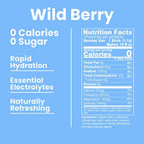 Nectar Sugar Free Electrolytes Powder - Organic Fruit No Sugar or Calories - Hydration Powder for Dehydration & Hangover Relief and Rapid Rehydration - Keto and Paleo (Berry 40 Serving Tub)