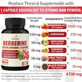 Berberine Supplement Equivalent to 4700mg - 5 Months Supply - With Ceylon Cinnamon, Berberine HCl Supplement Pills