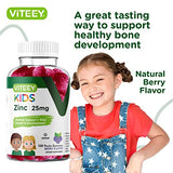 Zinc Gummies for Kids 25mg - Immune Support Booster - Formulated for Kids - Powerful Natural Antioxidant Zinc Vitamin Supplement - Gluten Free, Gelatin Free, GMO Free - Chewable Berry Flavor Gummy