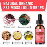 B BEWORTHS Sea Moss Liquid Drops - Organic Irish Sea Moss Gel with Burdock Root Supplement, Seamoss Gel for Immune Support, Joint & Thyroid Support, Detox Cleanse & Digestion Support