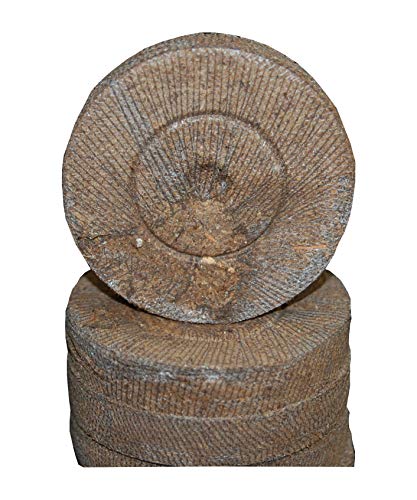 Jiffy-7 Peat Pellet 36mm Seed Starting - 200 ea by Growers Solution