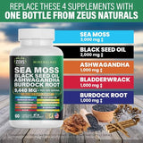 Sea Moss Capsules with Black Seed Oil, Burdock Root, Bladderwrack, Turmeric, Ashwagandha, Immune Support Supplement - Alt Sea Moss Gummies Gel (60 Count)