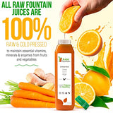 Raw Fountain 7 Day Green Juice Cleanse, All Natural Raw, Vegan Detox, Weight Management Program, Cold Pressed Juices, 42 Bottles 12oz, 7 Ginger Shots