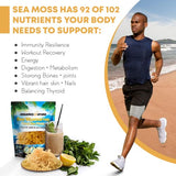 Organics Nature Dried Sea Moss Wildcrafted Make 5 Jars of Sea Moss Gel - Raw, Natural, & Gluten-Free Sea Moss - 4 oz Sun Dired St Lucian Sea Moss For Lung Detox, Immune System Support