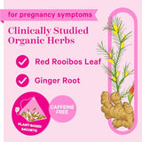 Pink Stork Morning Sickness Support Tea: Organic Ginger Peach Pregnancy Tea - Pregnancy Must Haves - Supports Prenatal Digestion and Constipation, Women-Owned, 15 Sachets