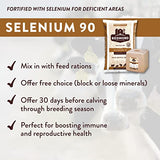 Redmond Agriculture Selenium 90 Premium Mineral Salt