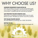 Sun Essential Oils 16oz - Cedarwood Essential Oil - 16 Fluid Ounces