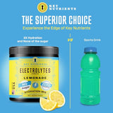 KEY NUTRIENTS Electrolytes Powder No Sugar - Refreshing Lemonade Electrolyte Drink Mix - No Calories, Gluten Free - Hydration Powder and Packets (20, 40 or 90 Servings)