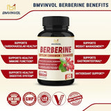 Berberine Supplement Equivalent to 4700mg - 5 Months Supply - With Ceylon Cinnamon, Berberine HCl Supplement Pills