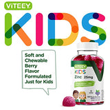 Zinc Gummies for Kids 25mg - Immune Support Booster - Formulated for Kids - Powerful Natural Antioxidant Zinc Vitamin Supplement - Gluten Free, Gelatin Free, GMO Free - Chewable Berry Flavor Gummy
