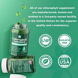 Sugar Free Chlorophyll Gummies - with Unfiltered ACV, Sea Moss & Elderberry, Echinacea, Vitamin D3, C, E, B12 - Natural Deodorant, Energy Boost, Immune & Digestion Support, Vegan Delicious Chews 60Ct