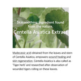 mixsoon Centella Asiatica Essence 3.38 fl oz / 100ml