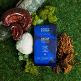 Earth & Star Decaf Mushroom Coffee Organic Ground Decaf Coffee with Lions Mane, Chaga, Cordyceps, Reishi, L-theanine - Immune Support, Sustained Energy, Concentration Boost, Antioxidant Rich - 12oz