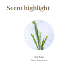 Tea Tree (Melaleuca Alternifolia) Essential Oil by Young Living - 15ml - Purify and Revitalize with Nature's Essence - Healthy-looking Skin and Nails - Healthy Hair and Scalp