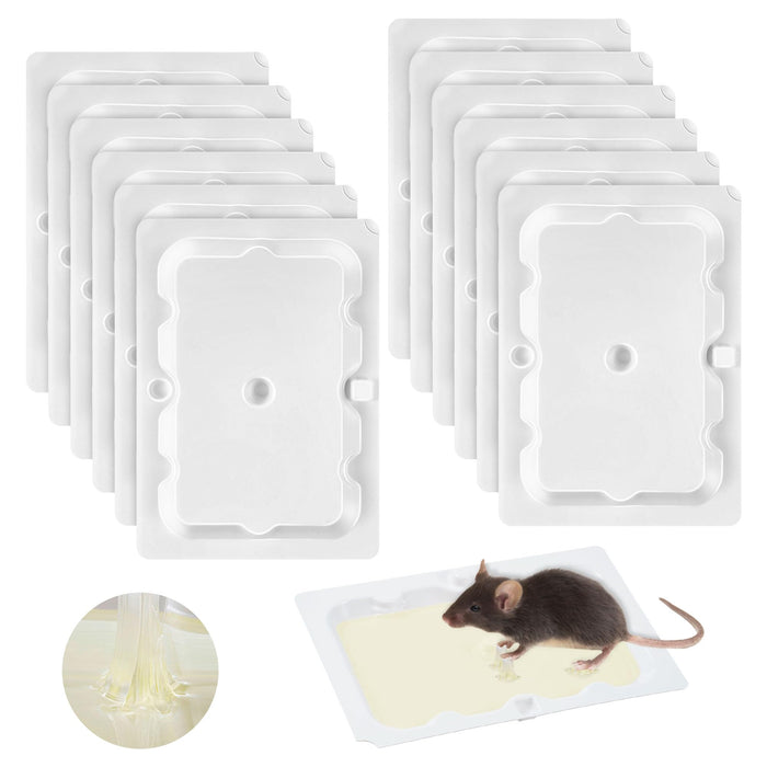 Qualirey 12 Pack Mouse and Insect Glue Traps, Strong Sticky Mice Traps Indoor for Home, Pre Scented Rodent Traps with Non Toxic Glue for House Garage, Ready to Use, Safe to Children and Pets (White)