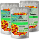 Sea Moss Gummies - Irish sea Moss raw Organic, Bladderwrack, Burdock Root. Contains Sea Moss Gel and Powder. Superfoods for Vegan, Keto and Dr Sebi Diet. Immune and Energy Boosting (2 Packs)