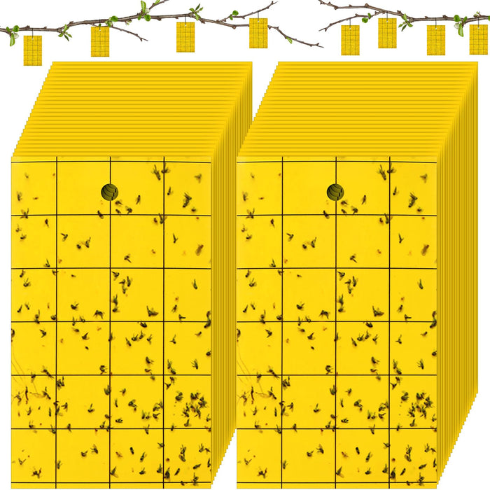 Qualirey 150 Pcs Yellow Sticky Trap for Gnats 3 x 5'' Dual Side Sticky Fruit Fly Trap with Tie Plant Sticky Trap for Flying Insect Fungus Bugs Flying Sticky Trap Sticky for Indoor Outdoor