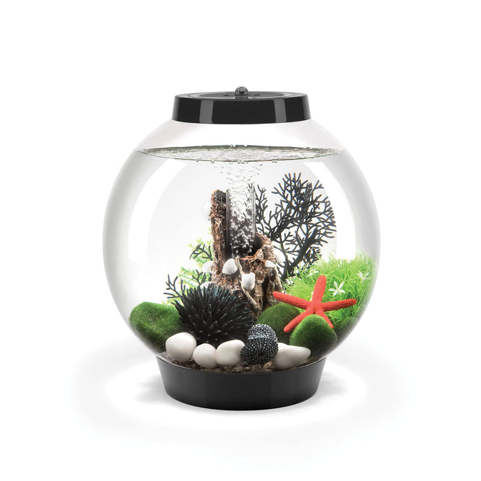 biOrb Classic 15 Acrylic 4-Gallon Aquarium with Multi-Color Remote-Controlled LED Lights Modern Compact Tank for Tabletop or Desktop Display, Black