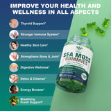 Sugar-Free Sea Moss Iodine Gummies 5000mg, Extra Strength Irish Moss Gel Supplement with Chlorophyll, Unfiltered ACV, D3, Burdock Root, Bladderwrack for Immune, Digestive, Joint, Skin, Vegan 60 Chews