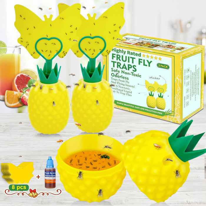 Fruit Fly Trap for Indoors, Effective Fly Catcher Gnat Killer with Double-Sided Sticker, 2024 New Upgrade Fruit Fly Gnat Trap with Bait, Non-Toxic and Reusable Fly Trap for Home, Kitchen - 2 Pack