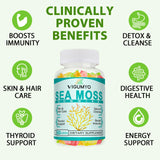 VIGUMYO Sea Moss Gummies for Adults & Kids, Seamoss Gel Gummies Support Thyroid, Immune System, Cleanse & Detox, Bladderwrack Burdock Minerals Vitamins (1 Pack)