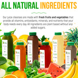 3 Day Protein Juice Cleanse by Raw Fountain, All Natural Raw Detox Cleanse, Cold Pressed Fruits, Vegetables, Vanilla and Chocolate Flavor, Tasty and Energizing, 18 Bottles 12oz, 3 Ginger Shots