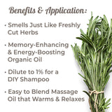 Plant Therapy Organic Rosemary Essential Oil 100% Pure, USDA Certified Organic, Undiluted, Natural Aromatherapy, Therapeutic Grade 30 mL (1 oz)