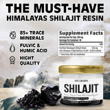 Pure Shilajit Resin Supplement with Fulvic Acid, Trace Minerals & 85 Others - 10g of Pack for 40 Servings - Support for Immune System, Brain Health, Energy Production & Stamina